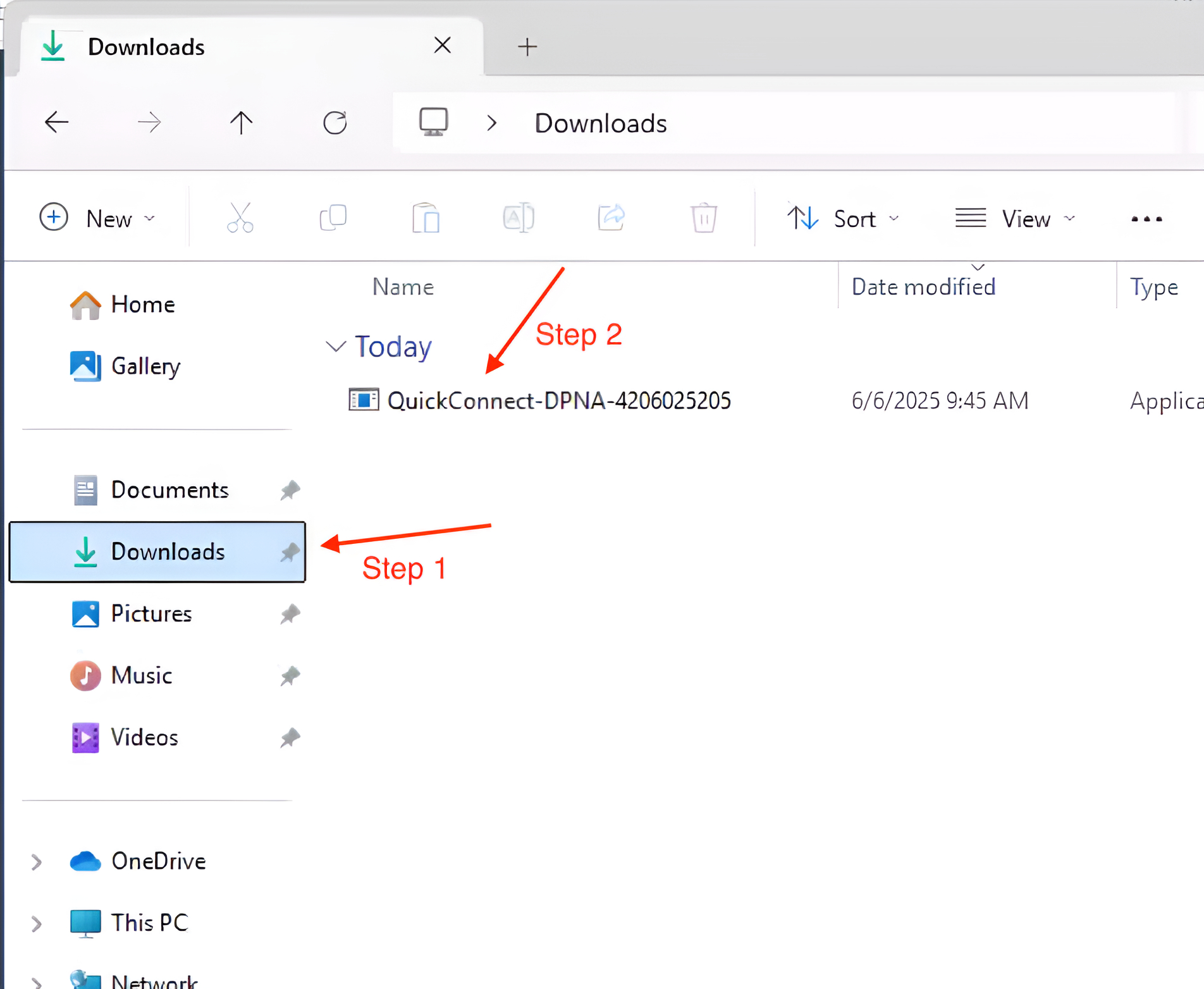 Downloads folder